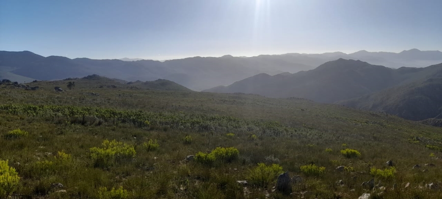 Commercial Property for Sale in Avontuur Western Cape